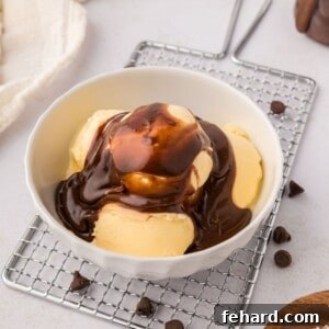 Bowl of vanilla ice cream generously topped with homemade hot fudge sauce.
