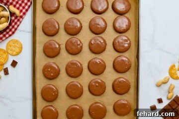 Peanut butter ritz tagalongs on parchment paper after being dipped in melted milk chocolate.