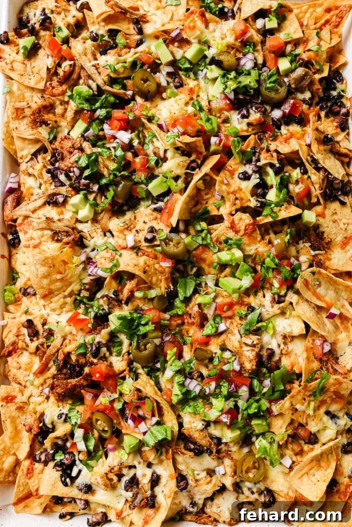 A close-up of rotisserie chicken nachos with pico de gallo, cilantro, and avocado. 