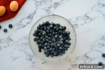 Fresh blueberries being gently folded into a creamy, vibrant mixture of sour cream, sugar, vanilla, and egg in a large mixing bowl.