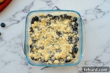 The assembled blueberry pie bars in a glass baking dish, featuring a distinct layer of crust, a generous blueberry filling, and a uniform sprinkle of crumble topping, prior to final baking.