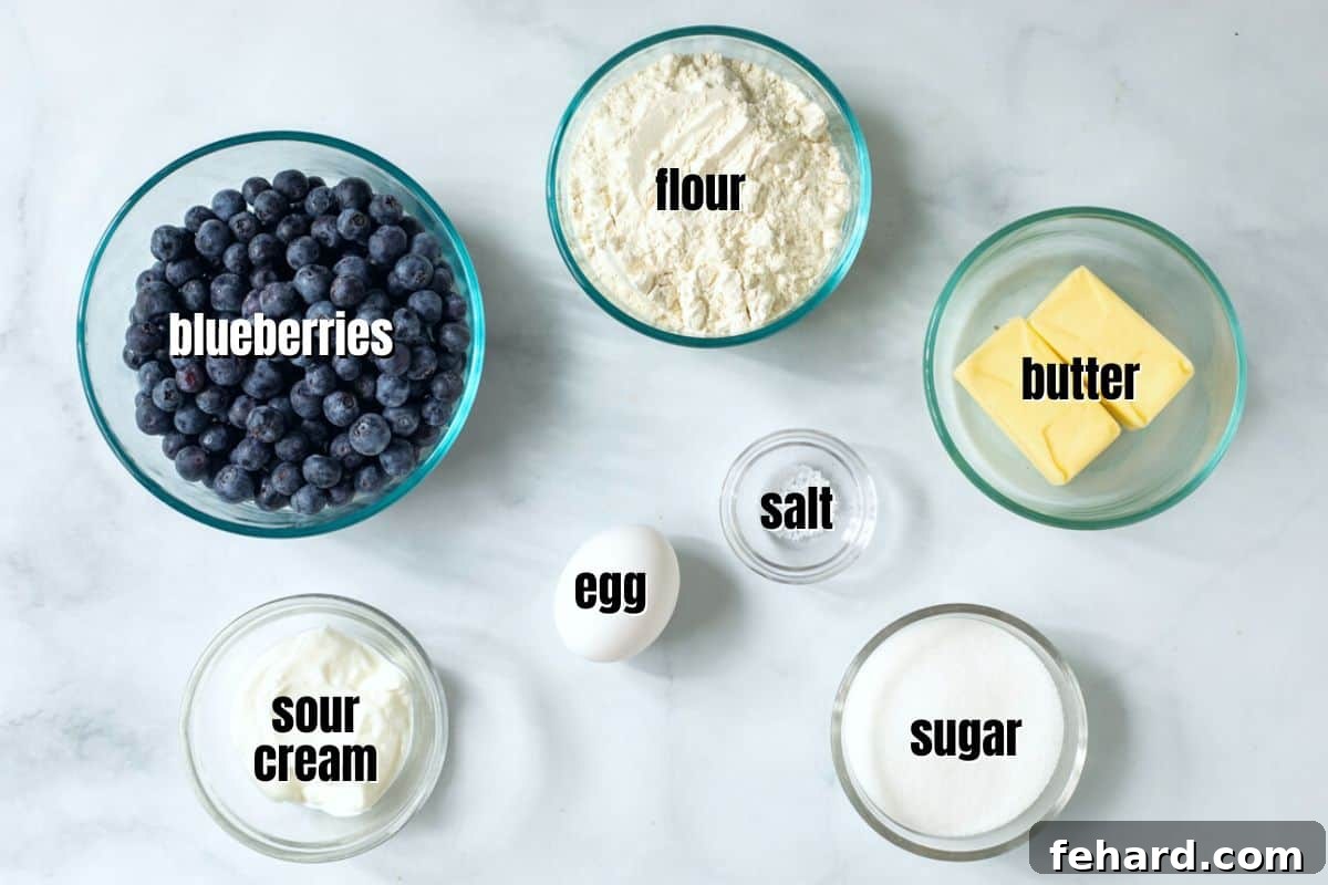 A neatly arranged flat lay of all the essential ingredients for making blueberry pie bars, including fresh blueberries, sticks of butter, bags of flour and sugar, a container of sour cream, and an egg, all clearly labeled.