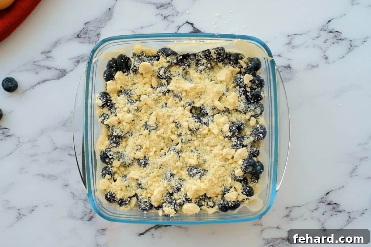 The assembled blueberry pie bars in a glass baking dish, clearly showing the pre-baked crust, a thick layer of blueberry filling, and a uniform sprinkle of crumble topping, all ready for the final baking.