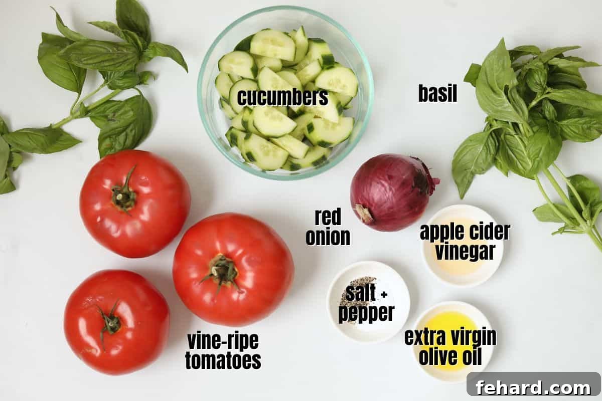 A flat lay of fresh, colorful ingredients for a homemade tomato cucumber salad laid out on a rustic countertop, including whole ripe tomatoes, an English cucumber, a red onion, a bottle of premium olive oil, apple cider vinegar, and a lush bunch of fresh basil, all ready for preparation.