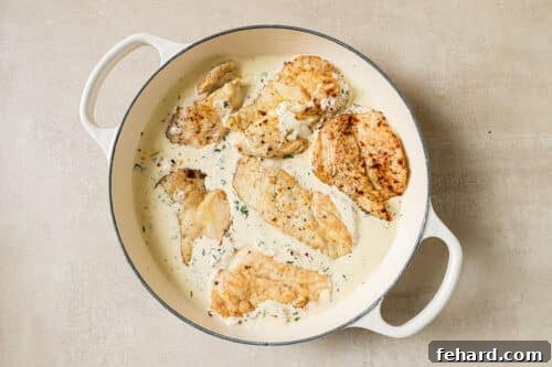 Chicken breasts and creamy white sauce simmering together in a braiser, allowing flavors to meld.
