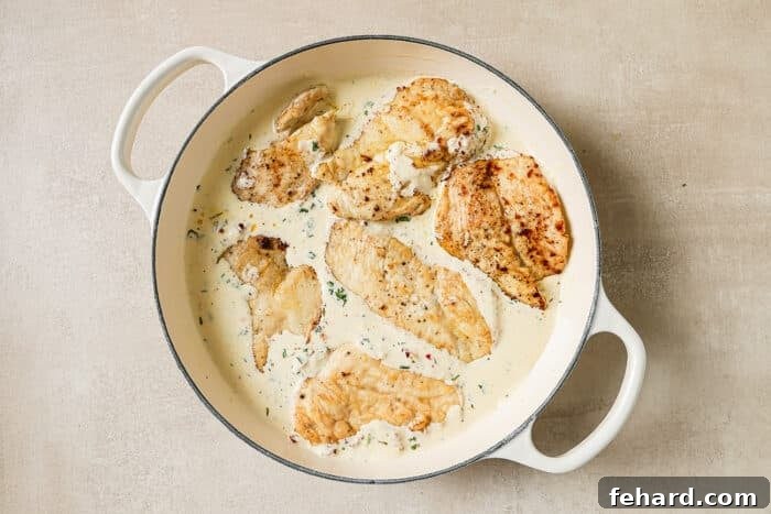 Six seared chicken cutlets nestled and simmering gently in the rich, creamy sauce within a cast-iron Dutch oven, absorbing all the flavors.