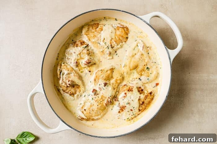 A close-up of six perfectly seared chicken cutlets generously covered in the creamy Marry Me Chicken sauce, ready for garnish.