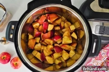 Diced apples with brown sugar, spices, and cinnamon inside inner pot of pressure cooker.