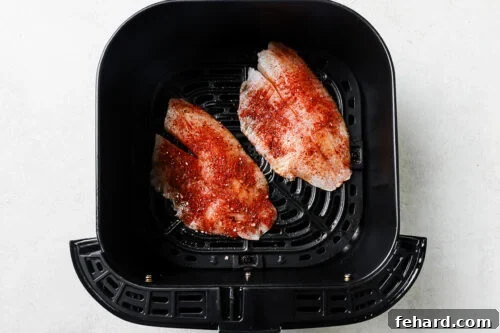 Raw tilapia fillets, seasoned and placed in an air fryer basket.