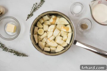 Silky Parsnip Puree 3 Peeled and diced parsnips and peeled garlic cloves in saucepan in salted water before simmering to make parsnip puree.