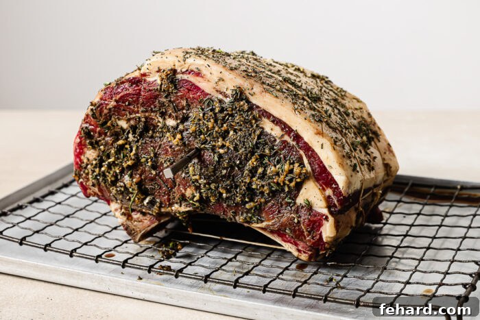 Perfectly Slow Seared Prime Rib 10 Thermometer inserted into a prime rib roast, ready to go in the oven for perfect reverse sear cooking.