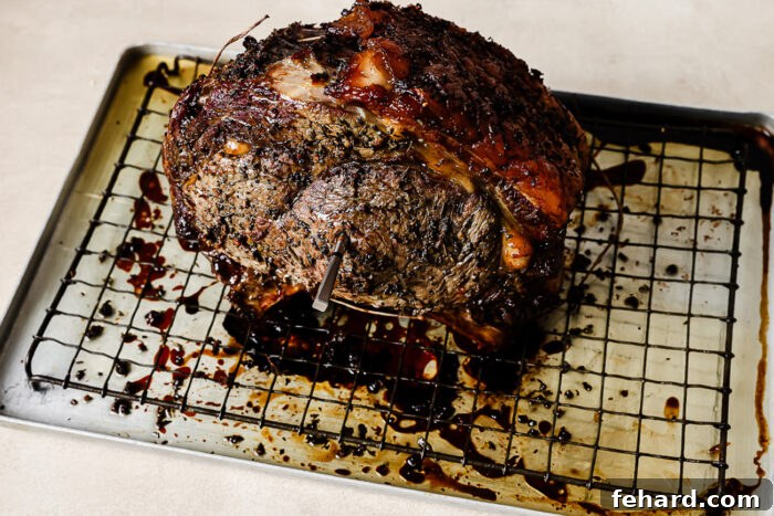 Perfectly Slow Seared Prime Rib 11 Roasted prime rib resting on a baking sheet after coming out of the oven, ready to slice for the reverse sear prime rib recipe.