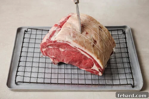 Scoring the fat cap of a raw prime rib roast on a wire rack to prepare it for reverse searing.