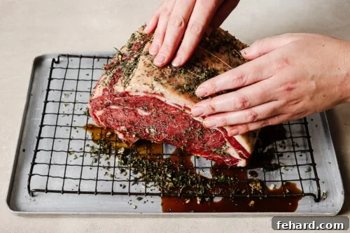 Raw prime rib roast on a wire rack, marinated with Worcestershire sauce and herbs, ready for the reverse sear method
