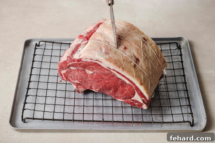 Perfectly Slow Seared Prime Rib 5 Scoring the fat cap of a raw prime rib roast on a wire rack to prepare it for reverse searing.