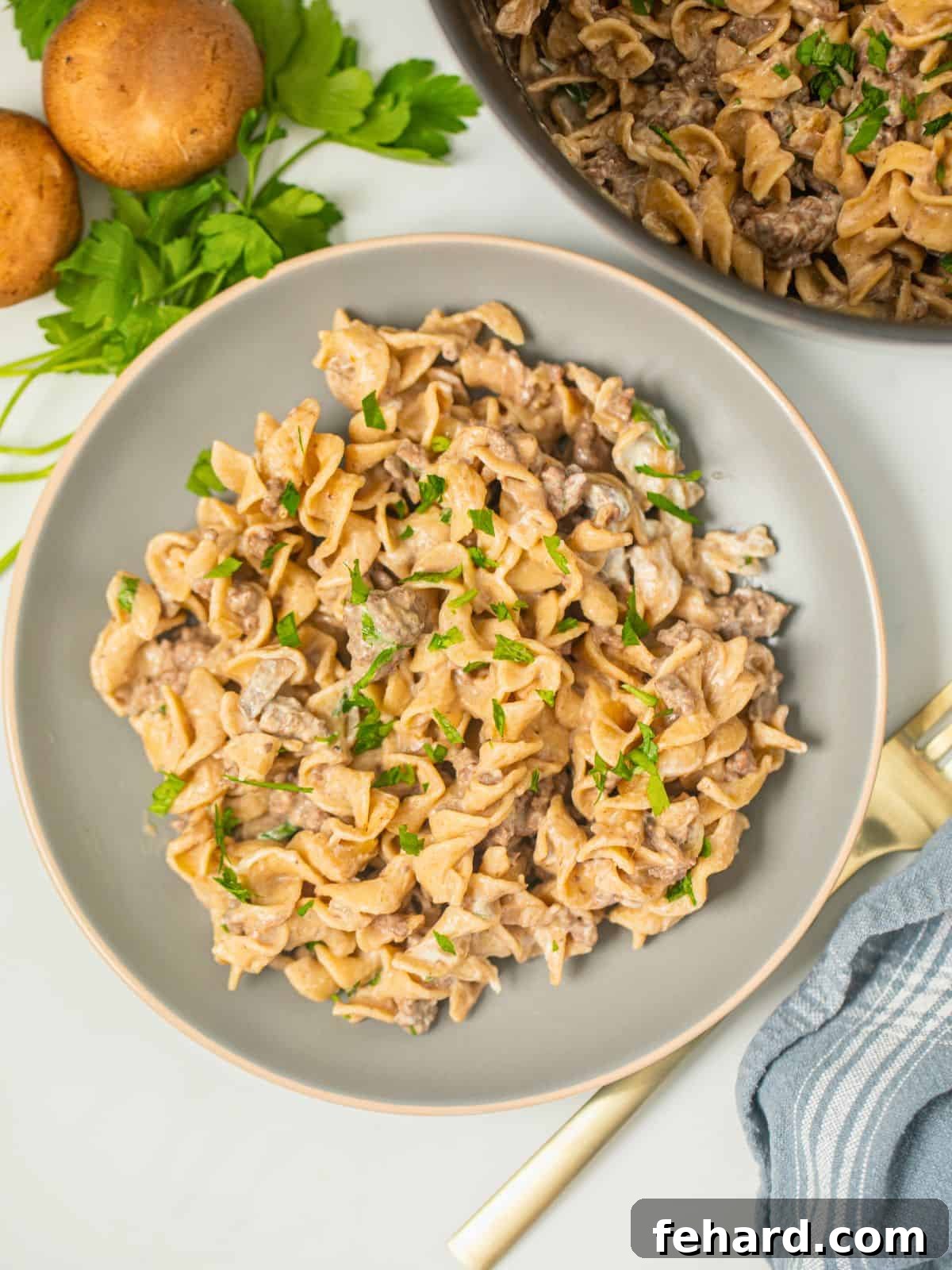 Homemade beef stroganoff with egg noodles and ground beef dished out on gray plate topped with parsley.