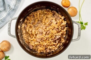 Egg noodles and ground beef cooked in a homemade mushroom sauce in Dutch oven to make an easy beef stroganoff.
