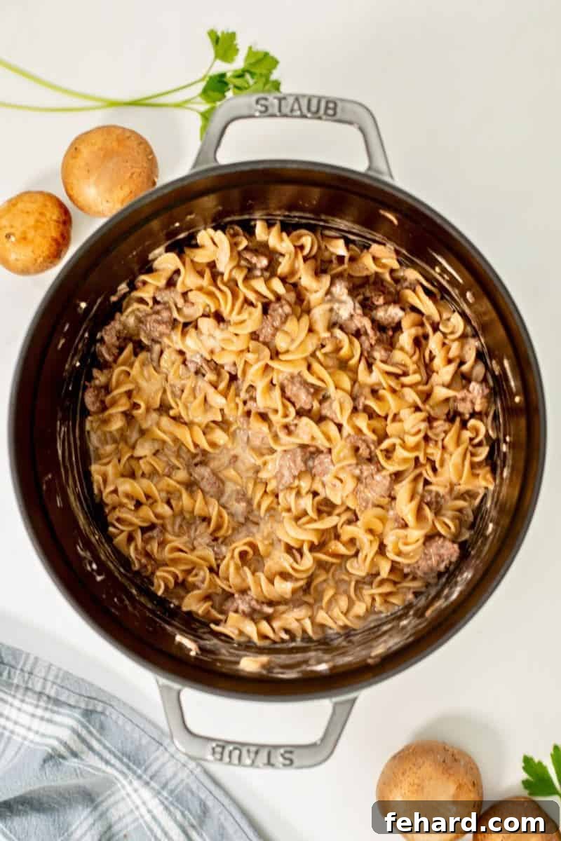 Egg noodles and ground beef cooked in a homemade mushroom sauce in Dutch oven to make an easy beef stroganoff.