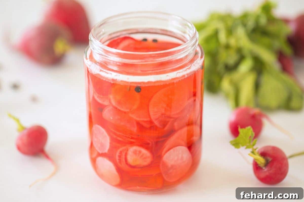 Jar of thinly sliced radishes in quick pickling liquid with fresh red radishes in the background. A vibrant, fresh condiment.