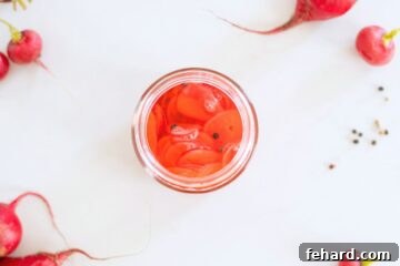 Top down view of jar filled with thinly sliced radishes and pickling liquid.