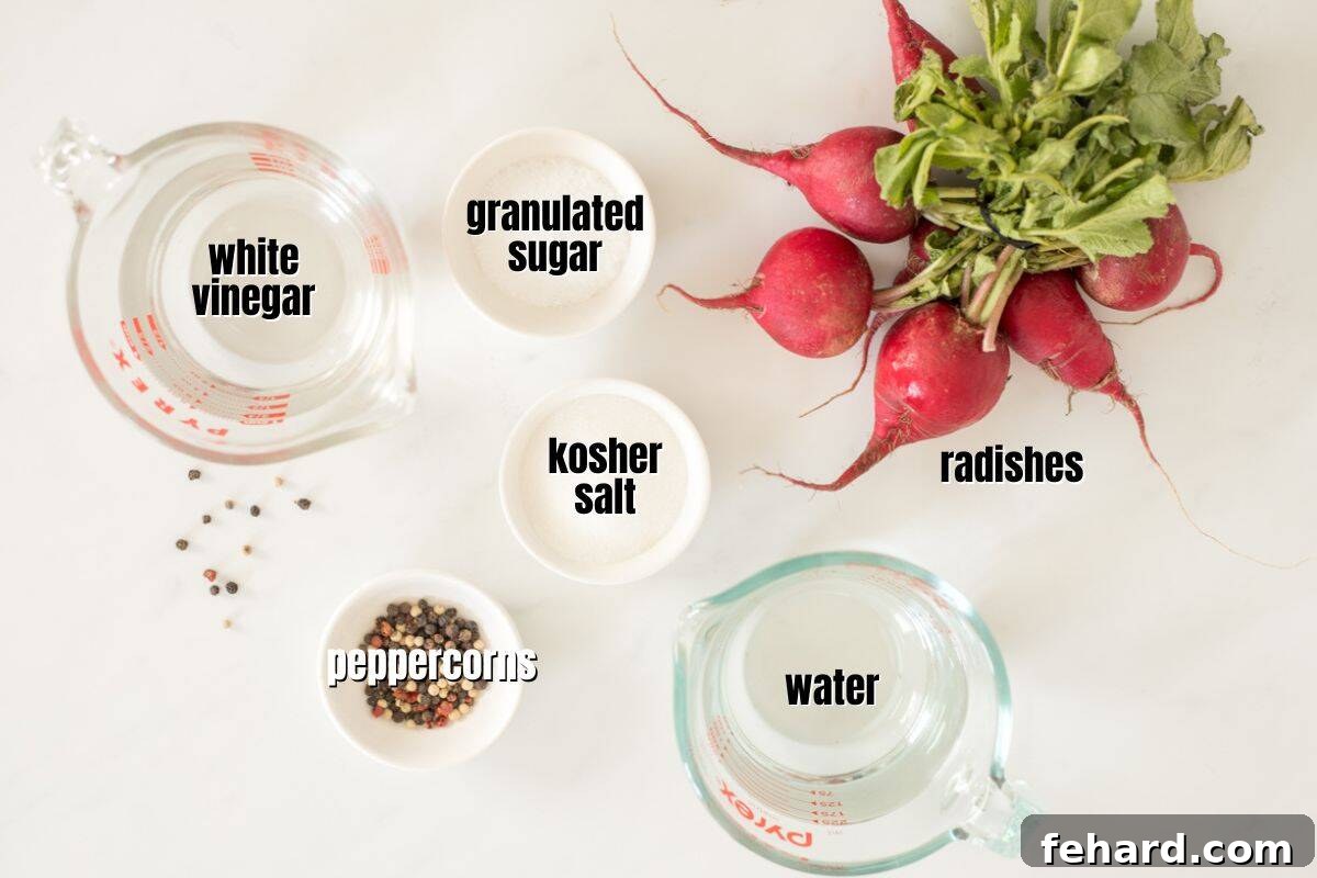 Red radishes, water, white vinegar, black peppercorns, kosher salt, and granulated sugar laid out on a kitchen counter, ready for pickling.