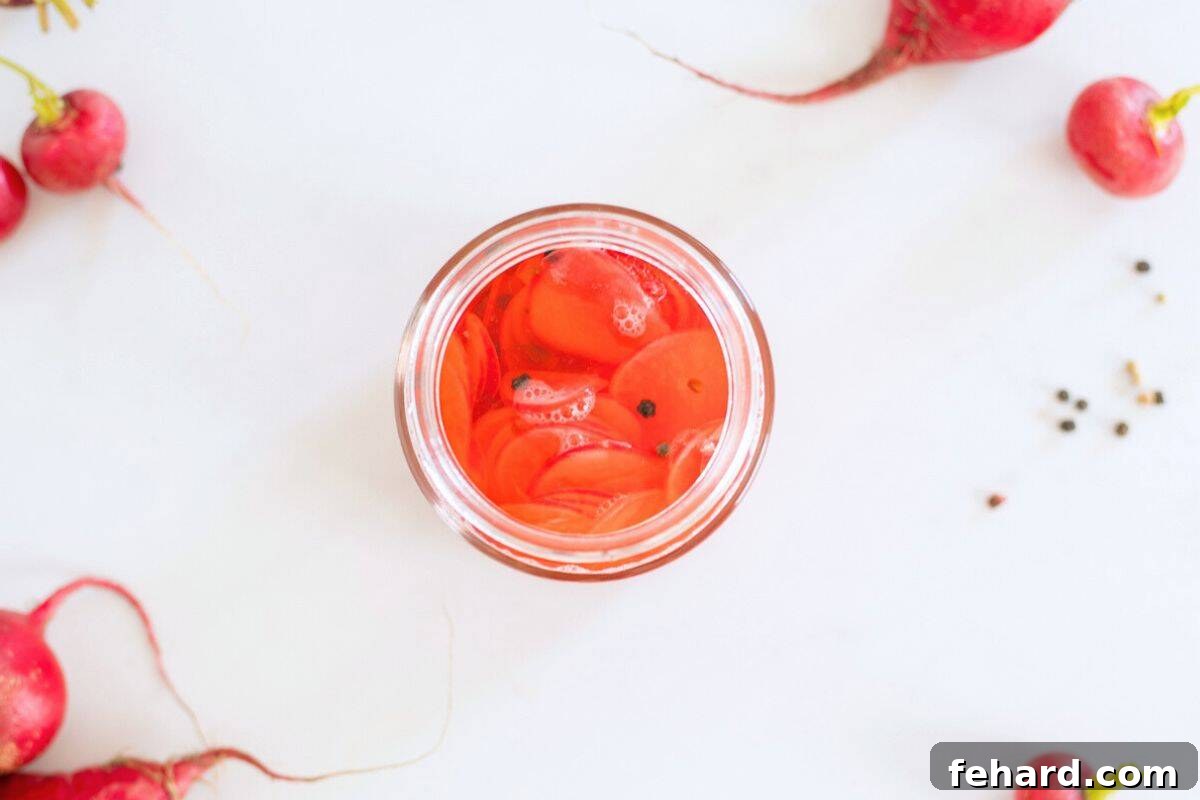 Top down view of a glass jar filled with thinly sliced radishes submerged in clear pickling liquid, ready for chilling.