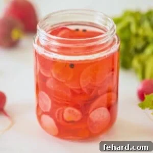 Jar of thinly sliced radishes in jar with quick pickling liquid with red radishes in the background.