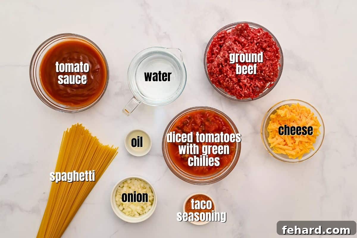 Fiesta Spaghetti 3 Ingredients for Mexican Spaghetti labeled on counter.