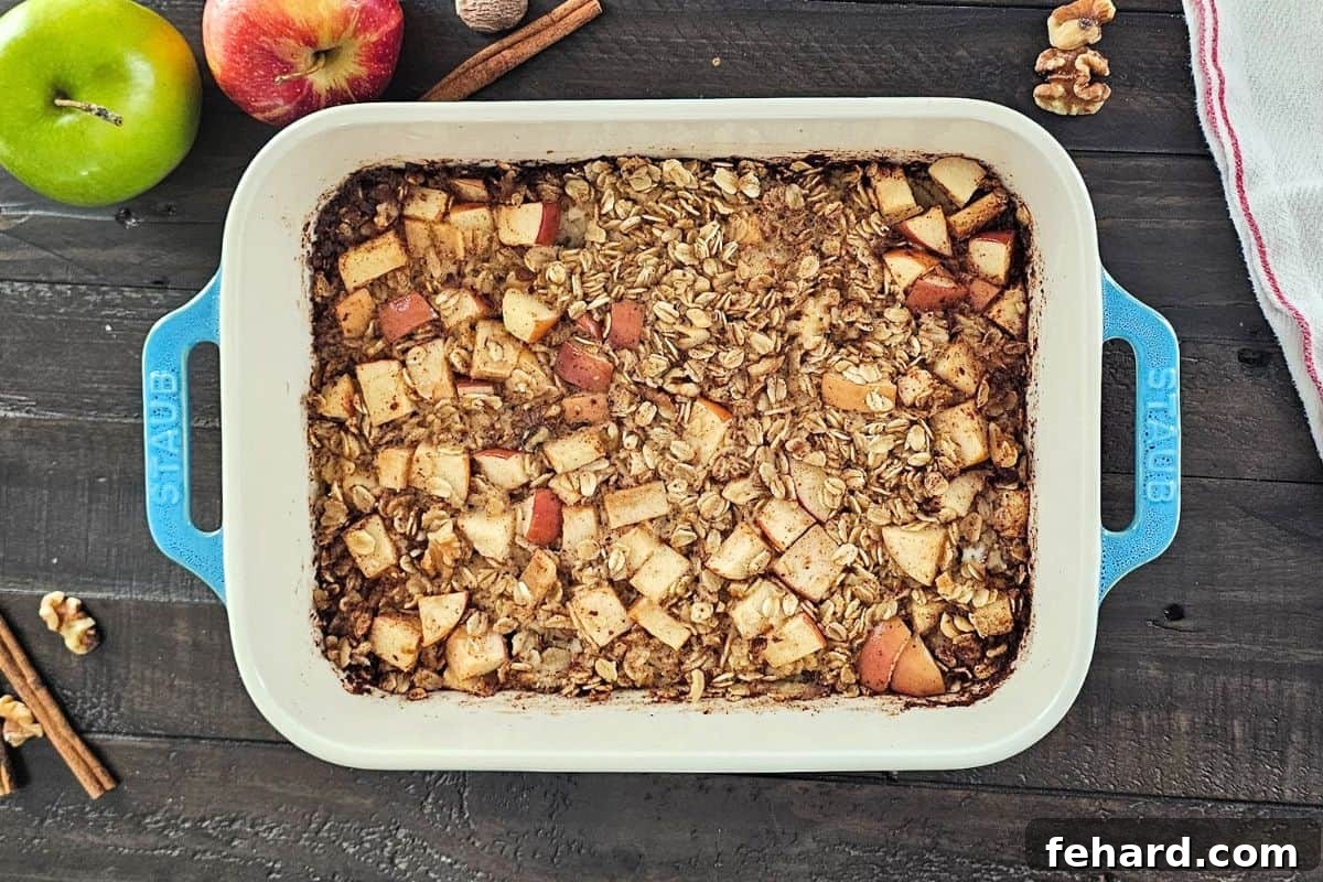 Freshly baked oatmeal with tender diced apples and cinnamon, garnished with cinnamon sticks and walnuts on the side.