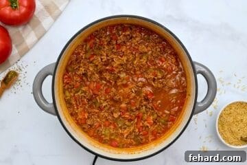 Lean ground beef, bell peppers, and brown rice cooked in rich tomato sauce in stock pan.