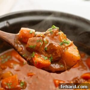 A spoonful of rich beef stew with tender beef, carrots, and potatoes being served from a slow cooker.