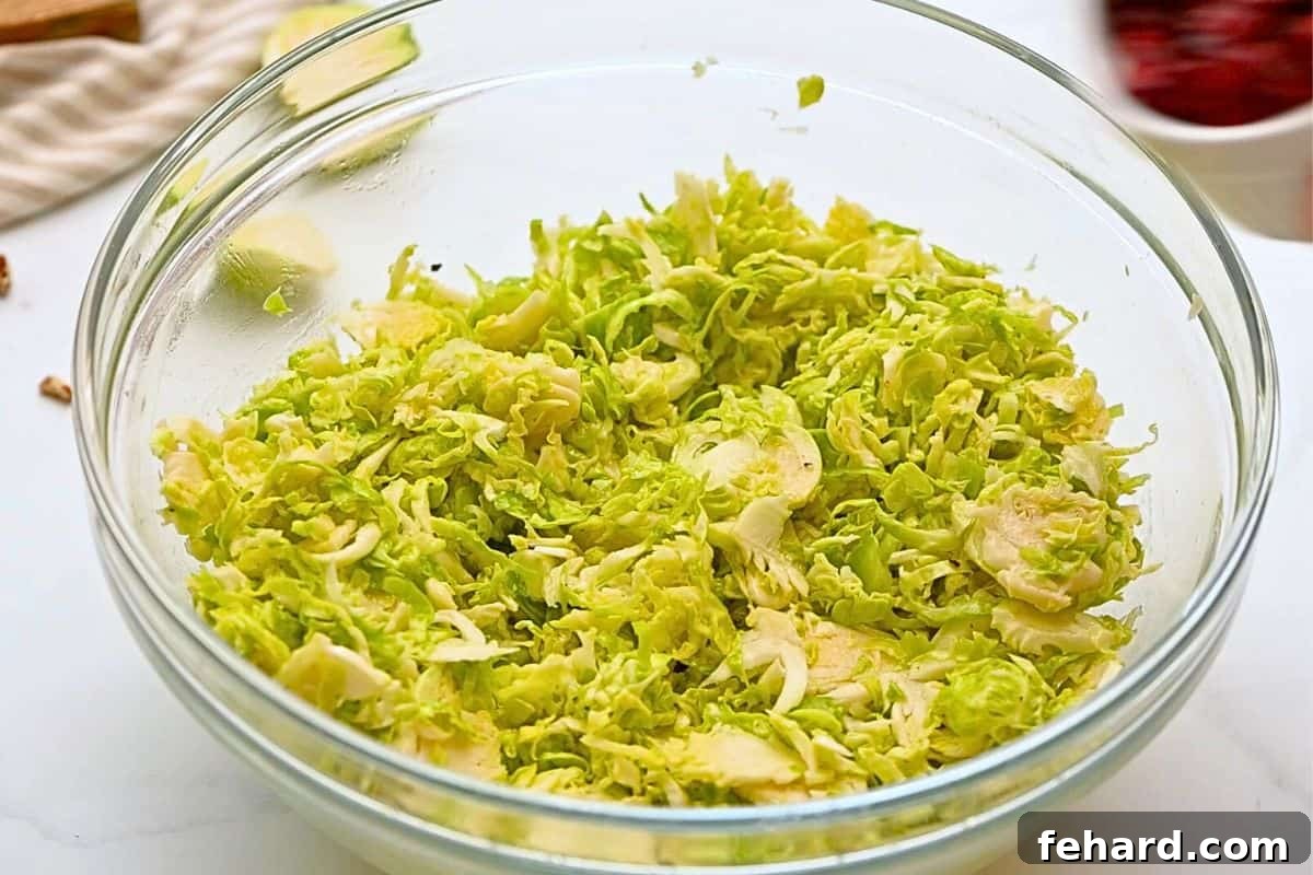 Shaved Brussels sprouts in a large mixing bowl, lightly tossed with a vibrant honey lemon dressing, beginning their tenderizing marinade in the refrigerator.