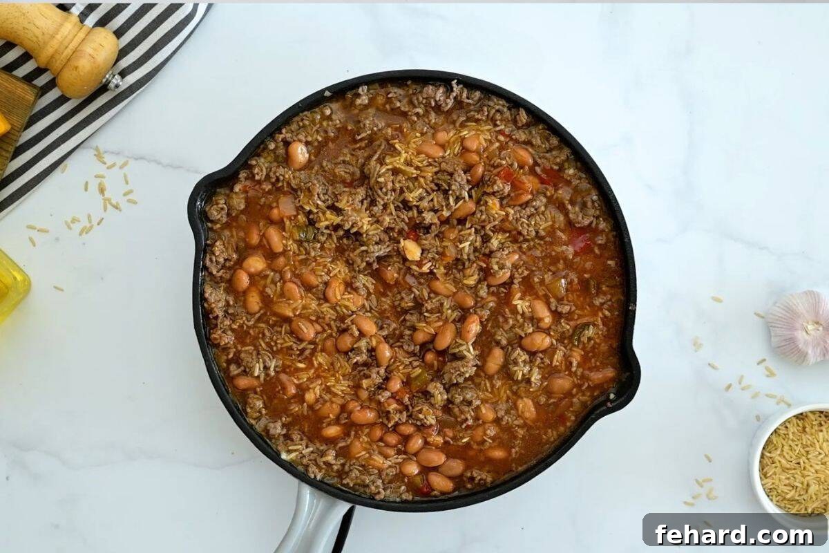 Baked Taco and Rice Casserole Deep skillet showcasing raw ingredients: ground beef, pinto beans, uncooked rice, beef stock, and salsa, all mixed together before going into the oven.