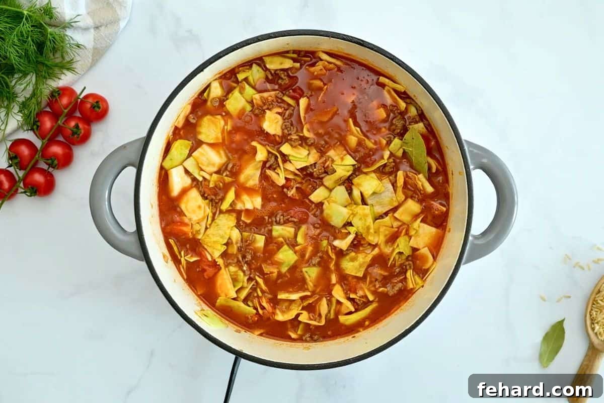 A large Dutch oven brimming with browned meat, savory beef stock, crisp diced cabbage, diced tomatoes, and uncooked brown rice, all freshly stirred together and ready for simmering.