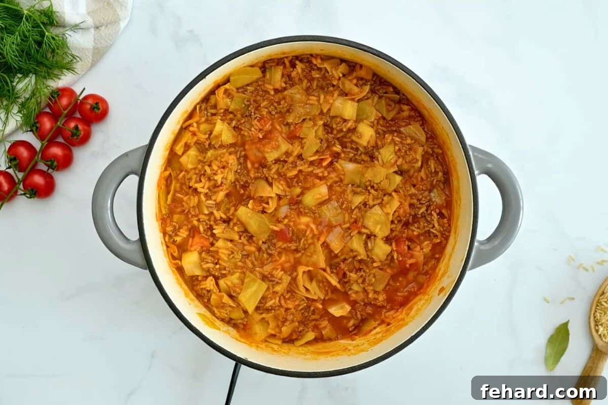 A large Dutch oven containing diced cabbage, ground beef, and brown rice, gently simmered together until the rice is nearly tender and the dish is richly aromatic.