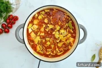 Large dutch oven with browned meat, beef stock, diced cabbage, tomatoes, and uncooked brown rice stirred together.