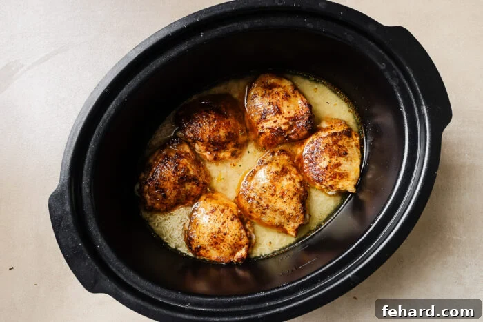 Easy Slow Cooker Chicken and Rice 5 Overhead view of seared chicken thighs carefully placed on top of the uncooked rice and broth mixture in a slow cooker pot.