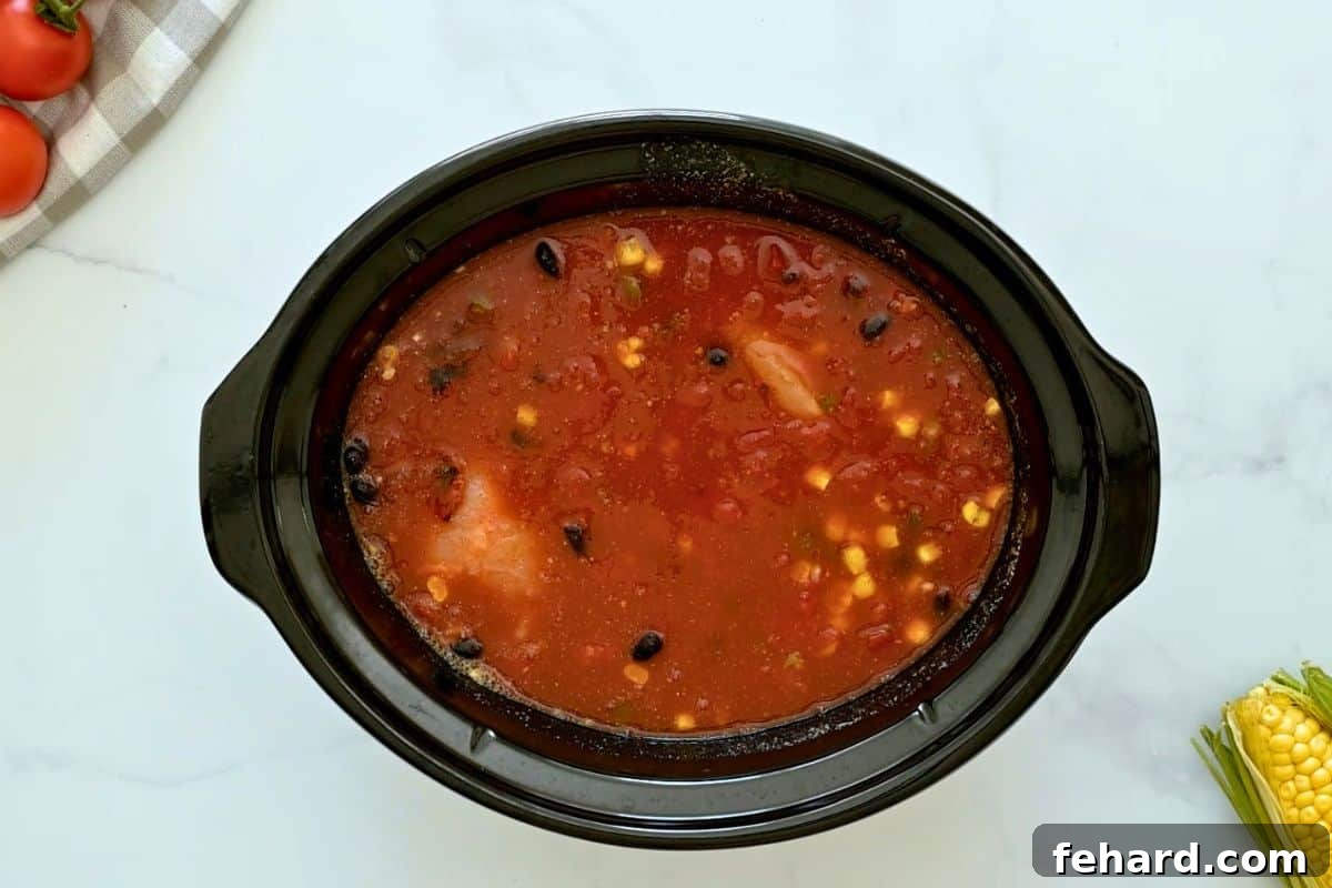 Chicken breasts, black beans, corn, salsa, tomatoes, garlic, dried spices and chicken stock combined in the slow cooker base.