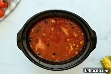 Chicken breasts, black beans, corn, salsa, tomatoes, garlic, dried spices and chicken stock combined in the slow cooker base.
