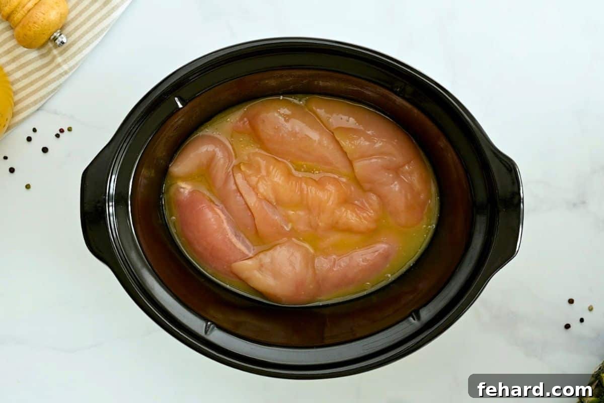 BBQ Pulled Chicken Breasts Slow Cooker Boneless, skinless chicken breasts in slow cooker with pineapple juice for pulled chicken recipe.