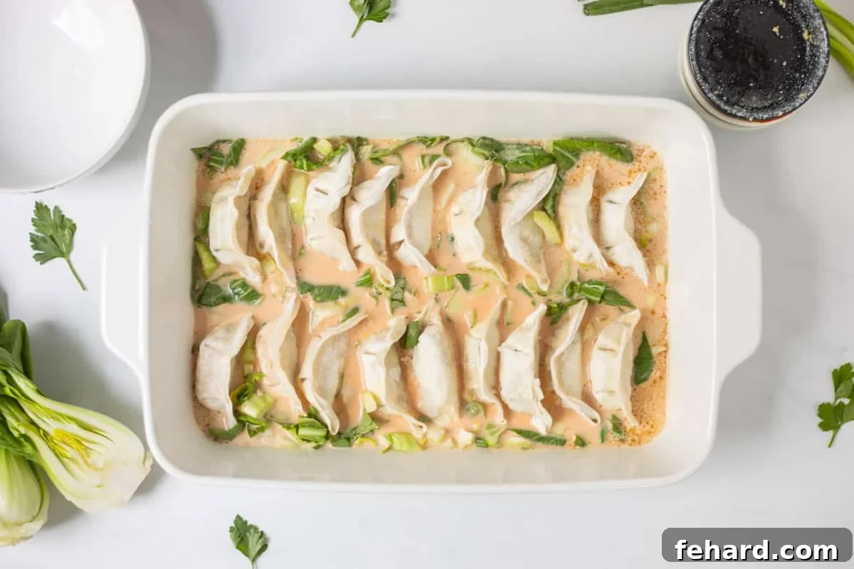 Frozen potstickers placed in single layer on top of spiced, soy coconut broth and sliced bok choy.