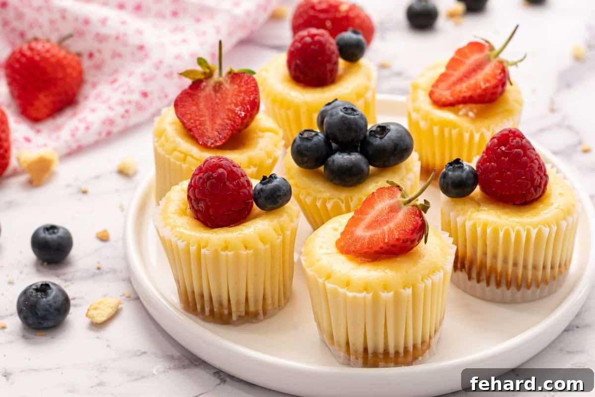 Mini Cheesecakes baked in mini muffin tins with vanilla wafer crust on plate topped with fresh blueberries, raspberries, and strawberries.