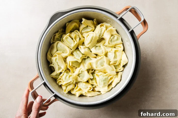 Cheesy Baked Tortellini with Savory Ground Beef Casserole 4 A hand holds a pot filled with uncooked tortellini pasta on a light-colored surface.