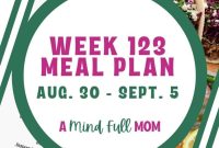 Meal Plan 123: Weekly Menu Ideas for Busy Schedules